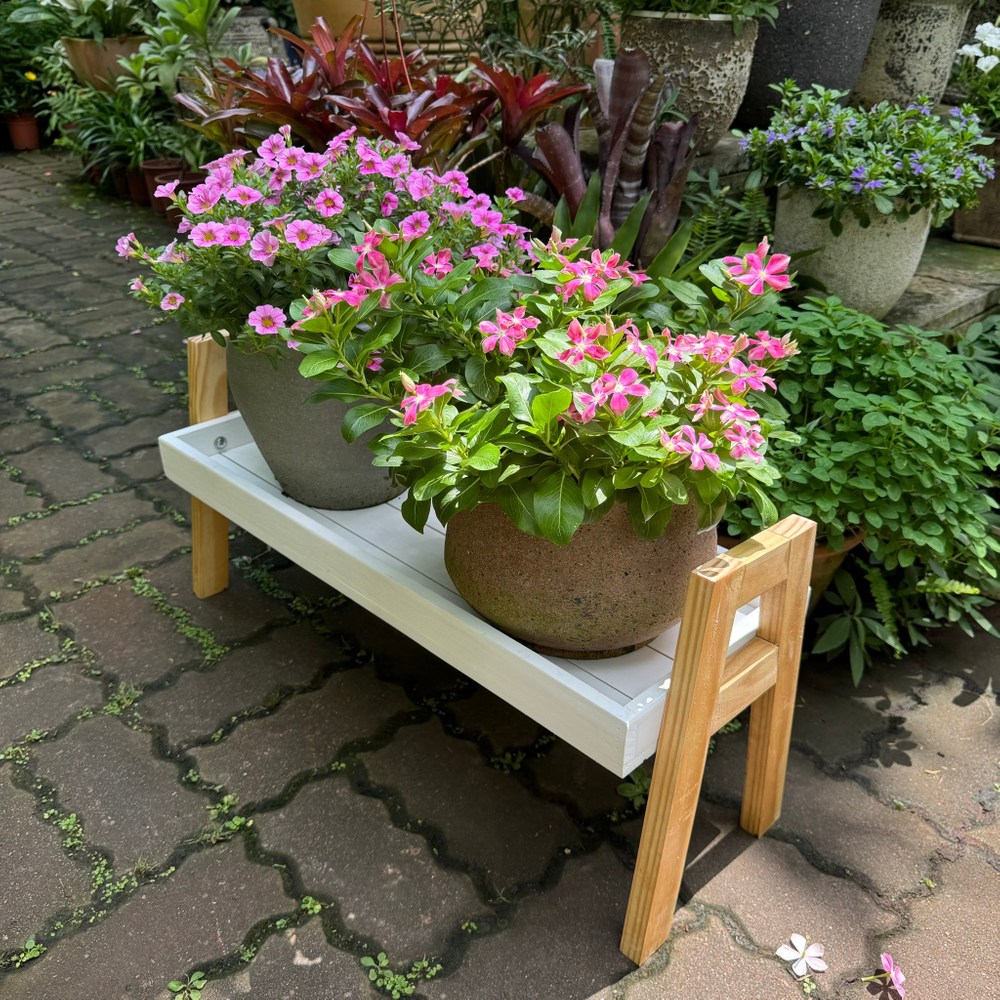 實木雙色花架W73｜園藝休閒｜特力屋．特力屋線上購物