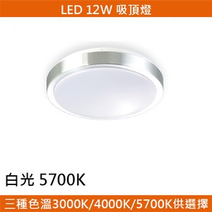 HONEY COMB LED 12W鋁框吸頂燈 白光 T04935